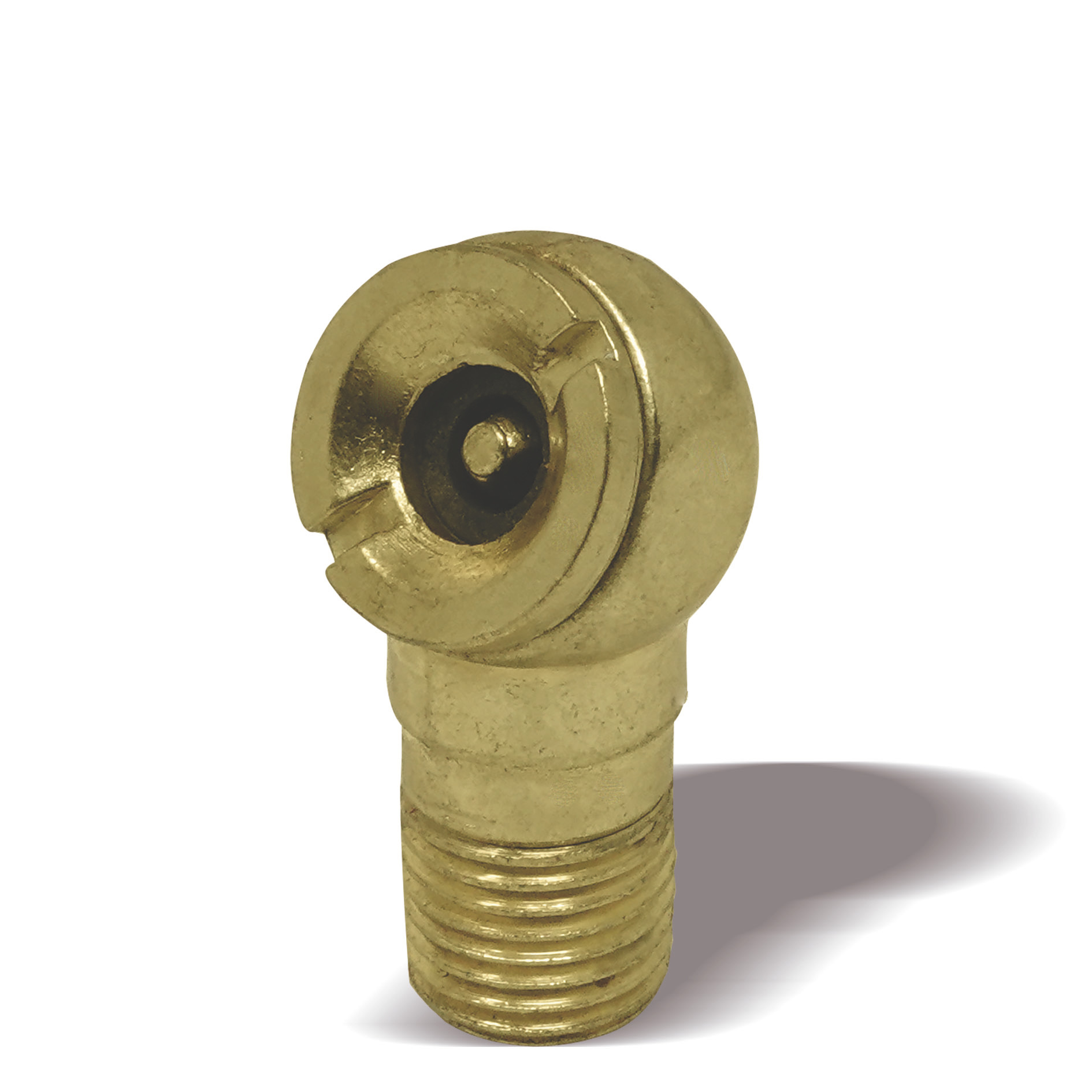 CABEZA PARA INFLAR (MACHO) 